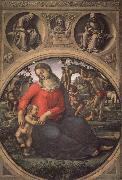 Luca Signorelli Madonna and Child with Prophets oil painting artist